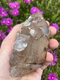 Image 3 of Smokey Skeletal Elestial Quartz