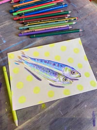 Image 3 of Sardines on lemon yellow spots