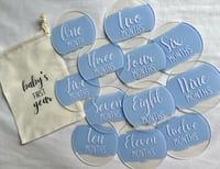 Image 4 of Baby Milestones Circles