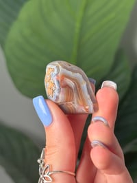 Image 2 of TUMBLED AGATE #38 -MALAWI-