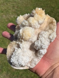 Image 1 of Calcite Crystal Reef Formation Specimen #1242