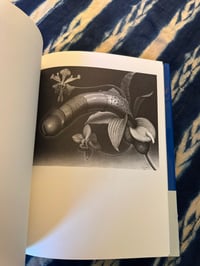 Image 2 of Yoshifumi Hayashi, Traites Secrets, 1994.