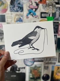 Bird’s lament