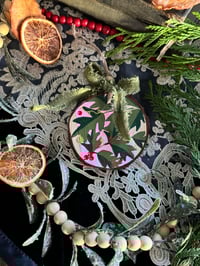 Medium Pink Mistletoe
