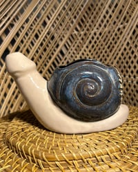 Image 2 of Stone Blue Shell Gary - Free Shipping