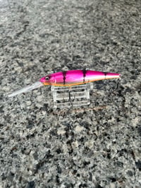 Purple tiger 9