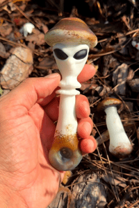 Image 1 of Mushroom invader spoon