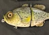 Blue Collar Gill BNA_Customs Paint Crappie Glide Only