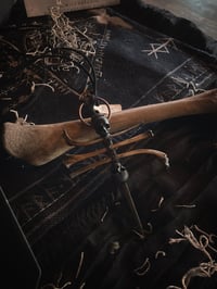 Image 1 of Bones & skulls 