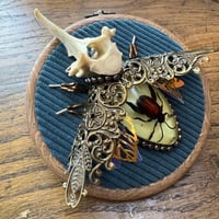 Image 4 of Specimen beetle (a, 4  inches)