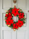 Image of Traditional Poinsettia 