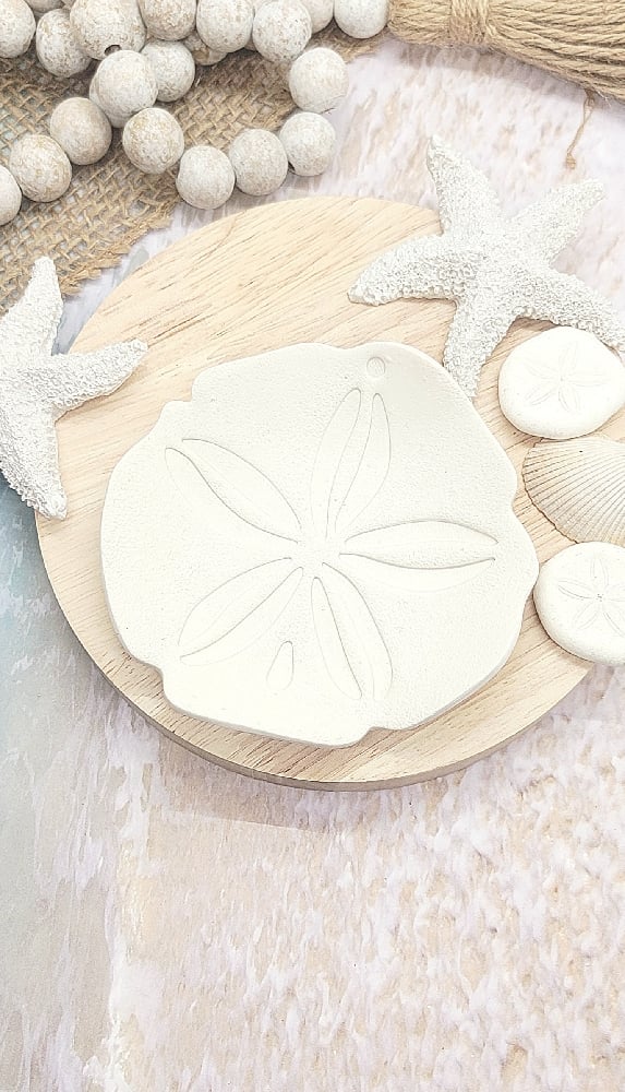 Image of Sand Dollar Trinket Dish 