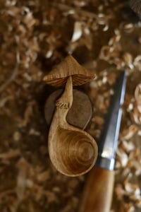 Image 3 of Mushroom Coffee Scoop….