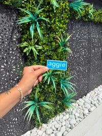 Image 16 of Individual Lionesses/WEURO Stickers