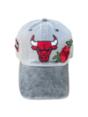 Art of Fame/ Chicago Bulls/ Washed 2 tone Dad Hat