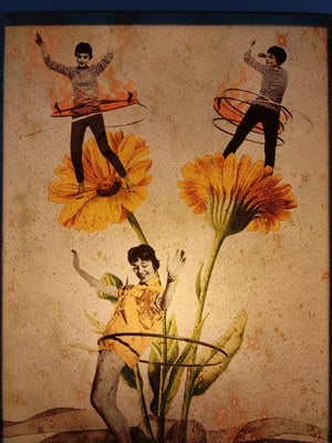 Image of Fiesta del polen.