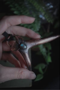 Image 3 of Real antler pieces with holly leaves and crystals
