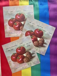 tomato pride poems