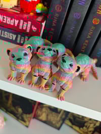 Image 5 of Hurón (pequeño) arcoiris 