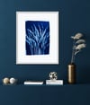 Reeds - A4/A3 Fine Art Print