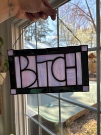 Image 2 of Bit*ch Panel