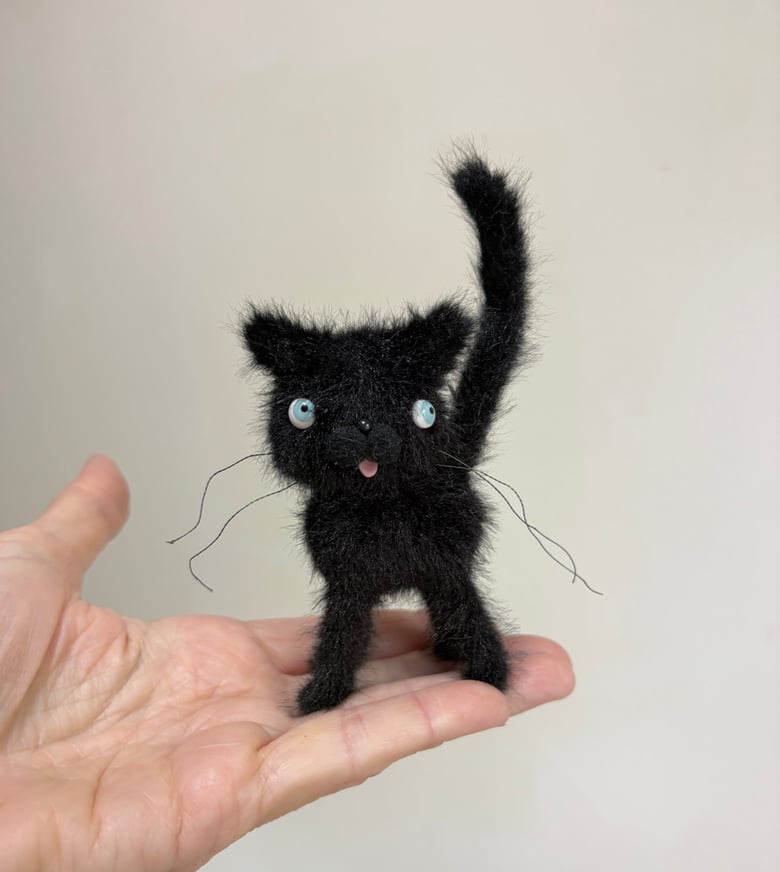 Image of Tiny Alley Cat #6