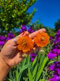 Cosmos n Bridal Wreath (orange)