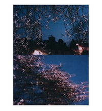 Image 1 of SPRING NIGHT II