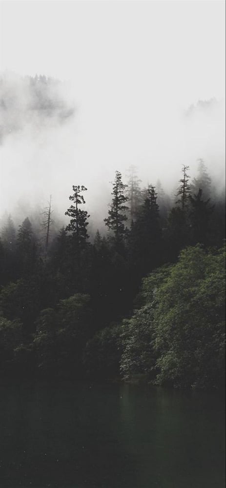 Image of February-April bookings