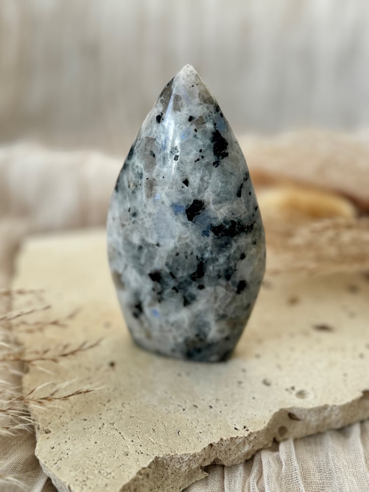 Image of Rainbow Moonstone Teardrop 