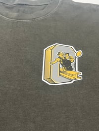 Image 2 of STEELERS FLIP