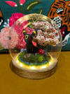 Umbreon Display Dome MADE TO ORDER READ DESCRIPTION 