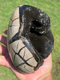 Image 8 of Septarian Nodule Polished Freeform | Madagascar #2897