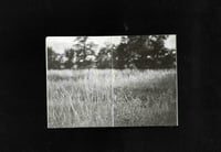 Image 5 of Holy spring by Fraser Carr Miles 