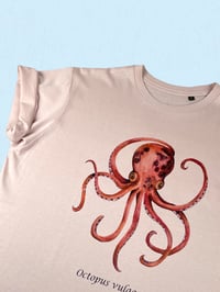 Image 1 of Tshirt PIOVRA