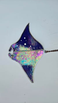 Image 2 of Sting ray 1