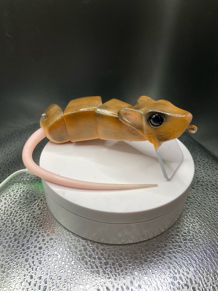 Rick Rat - Image 5