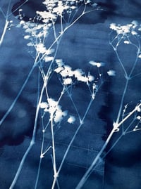 Image 4 of Cyanotype Workshop