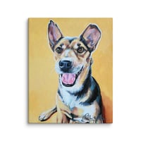 Image 2 of Yellow Jack Russel