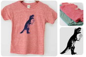 Image of 9, Dinosaur T-Rex Recycled Shirt, Wholesale, Children