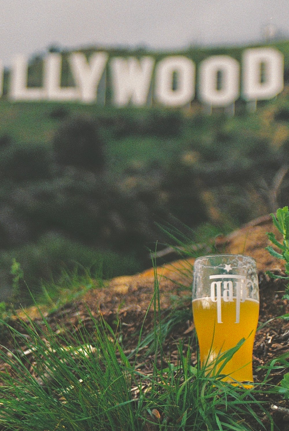 PINT GLASS 