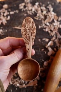 Image 6 of  Oak Tree Coffee Scoop 