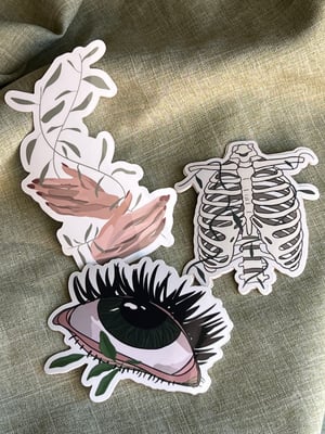 Image of 'Ribcage' Sticker