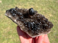 Image 13 of Smoky Quartz Crystal Points Cluster | Brazil #2971