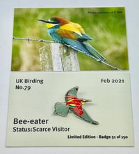 Image 1 of Bee-eater - No.79 UK Birding Pins - Enamel Pin Badge