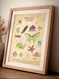 Image 1 of Vintage Pisces Nature Chart 