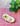 Strawberry Fantasy Yoni Oil