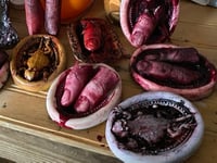 Image 5 of Three Sailed Ships and Two Lizards 