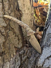 Image 1 of Moku Mai Athame with Carved Antler Handle 