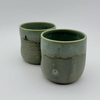 Image 2 of Muted Fern Tumblers 